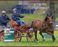 2POSIEUX 0298